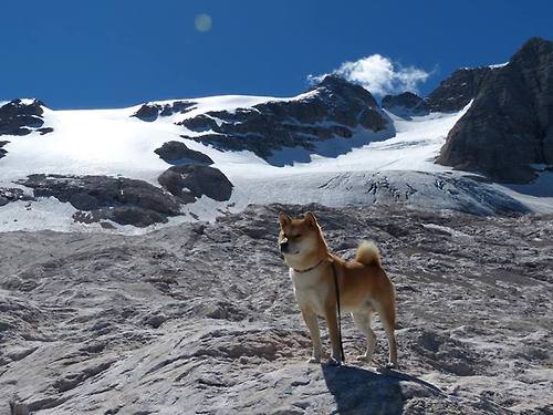 瑞典队战术解析：从侧面攻击到强力回球，瑞典足球战术