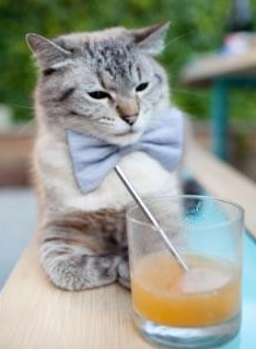 爱游戏娱乐网址-中国足球职业联赛赛程合理调整提升竞争力，我国职业足球联赛